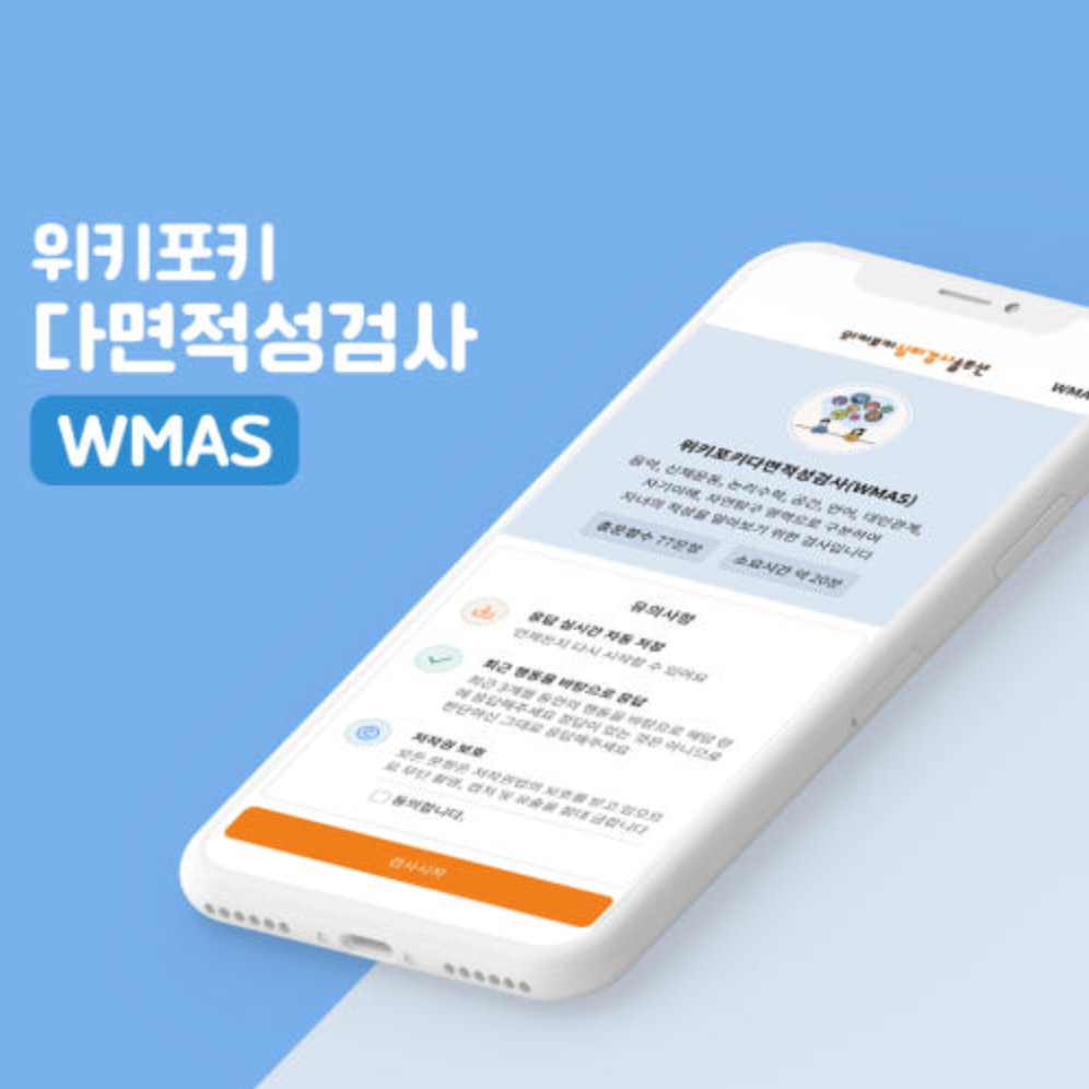 DS스토어 | ⭐️인기/진로탐색도움⭐️ 다면적성검사(WMAS)
