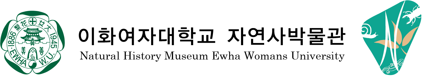 서울시립박물관